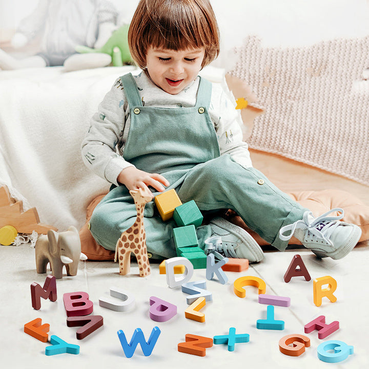 Wooden Numbers & Letters Educational Puzzle